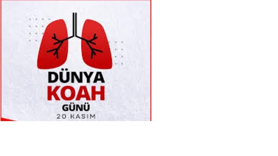 20 KASIM 2024 DÜNYA KOAH GÜNÜ